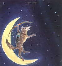 Coyote Places the Stars