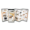 Land Mammals of the Southwest Folded Guide