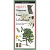 Sibley's Trees of the Southwest Folded Guide