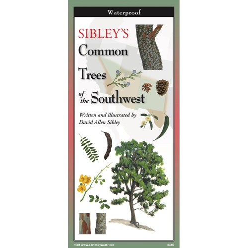 Sibley's Trees of the Southwest Folded Guide