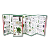 Sibley's Trees of the Southwest Folded Guide