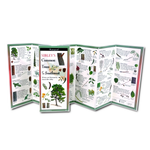 Sibley's Trees of the Southwest Folded Guide