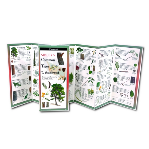 Sibley's Trees of the Southwest Folded Guide