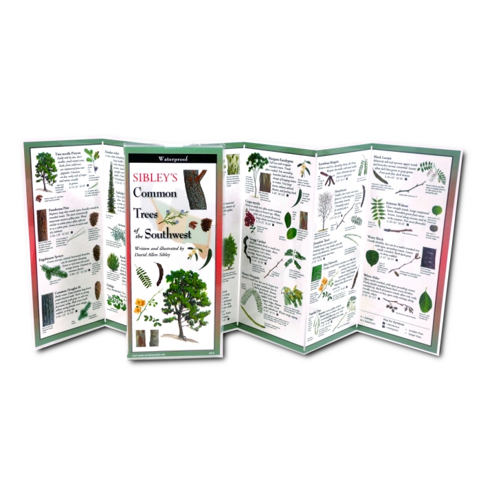 Sibley's Trees of the Southwest Folded Guide