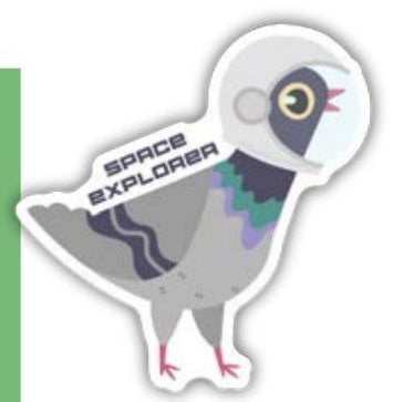 Space Explore Pigeon Sticker