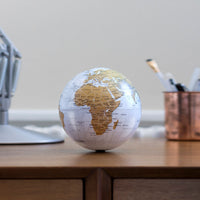Revolving Globe: World Map