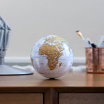Revolving Globe: World Map