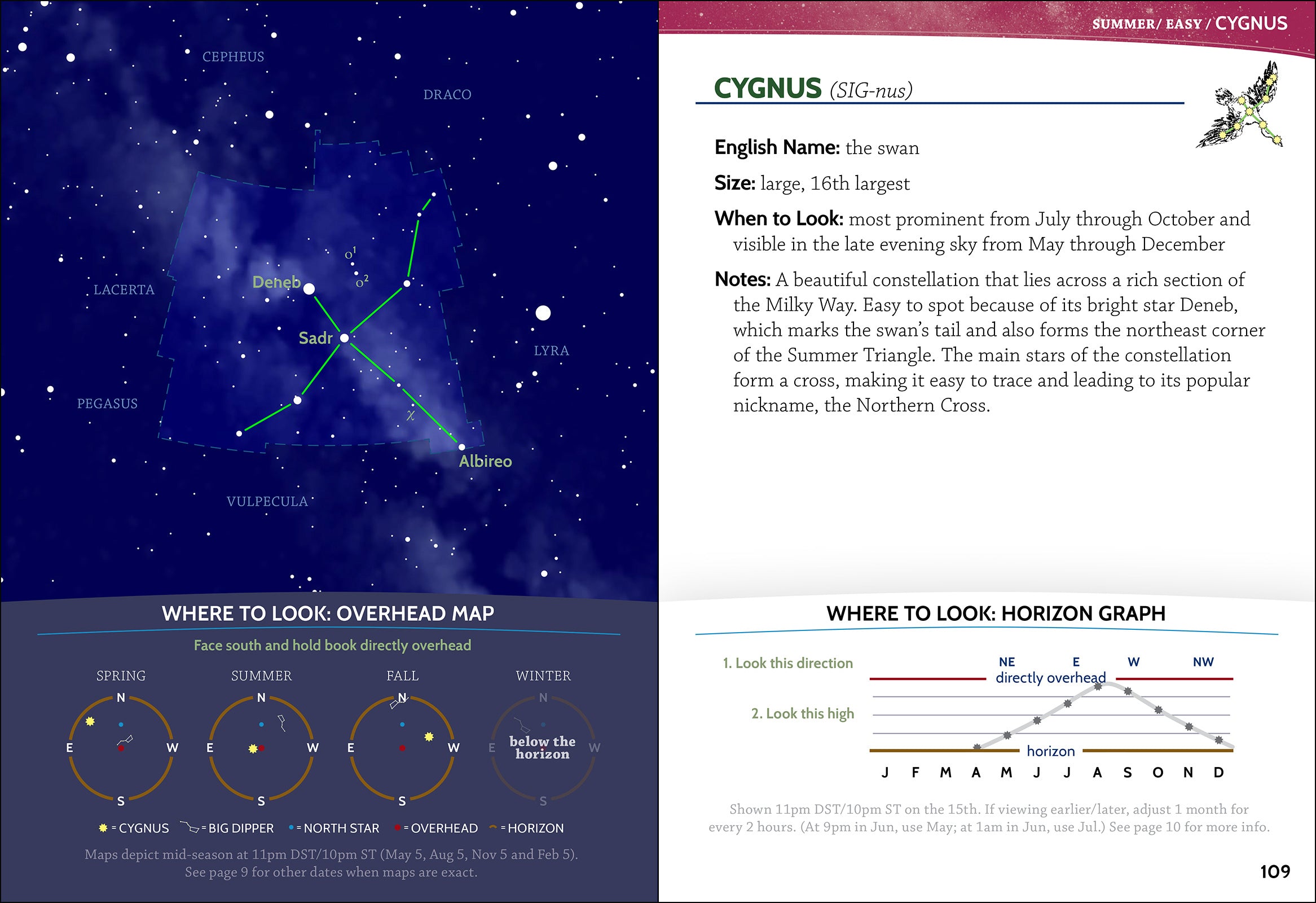 Night Sky: A Field Guide to the Constellations