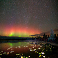 Authentic Cards Aurora 02 - Magnet
