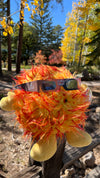 10 Pack - Solar Eclipse Glasses - Lowell Observatory