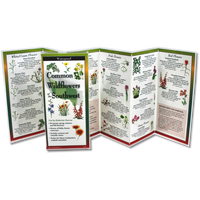 Common Wildflowers of the Southwest Folded Guide