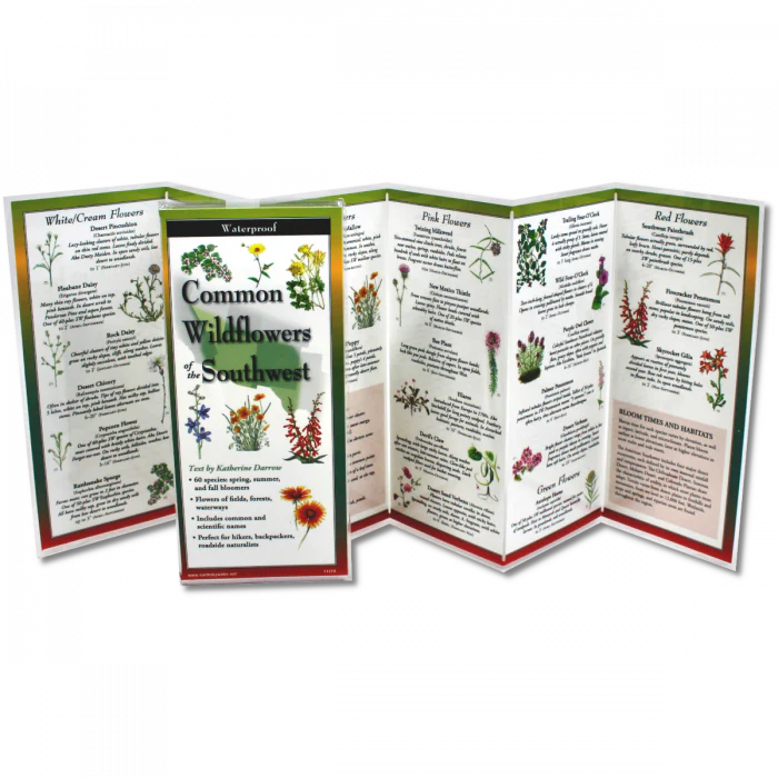Common Wildflowers of the Southwest Folded Guide