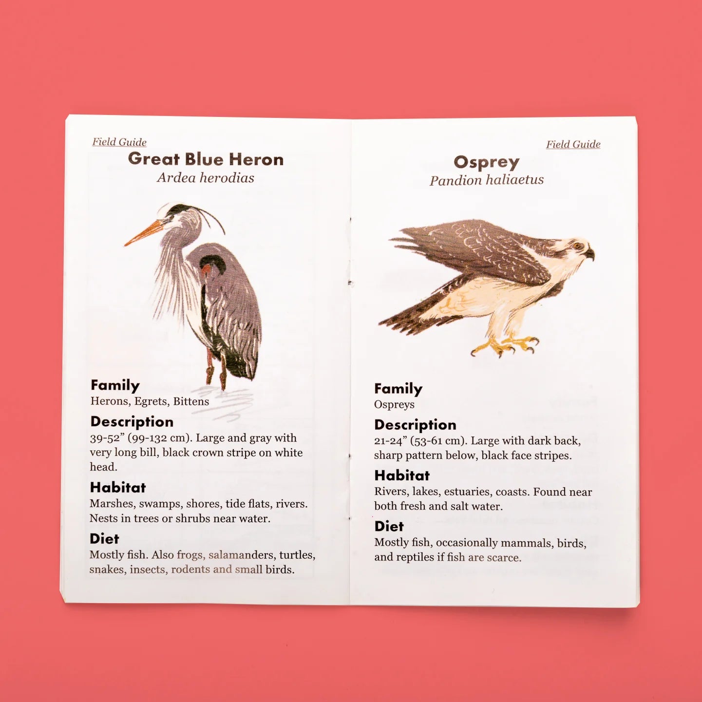 Huckleberry Binoculars