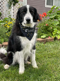 Constellations Dog Bandana