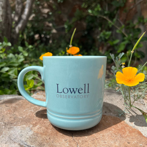 Flagstaff Teal Mug