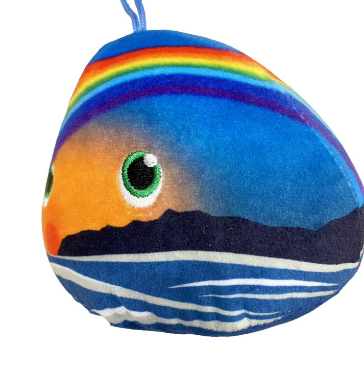 Rainbow Plush