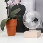 Solar Radiometer
