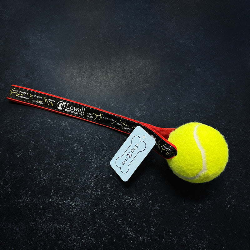 Tennis Ball Toy with handle for throwing