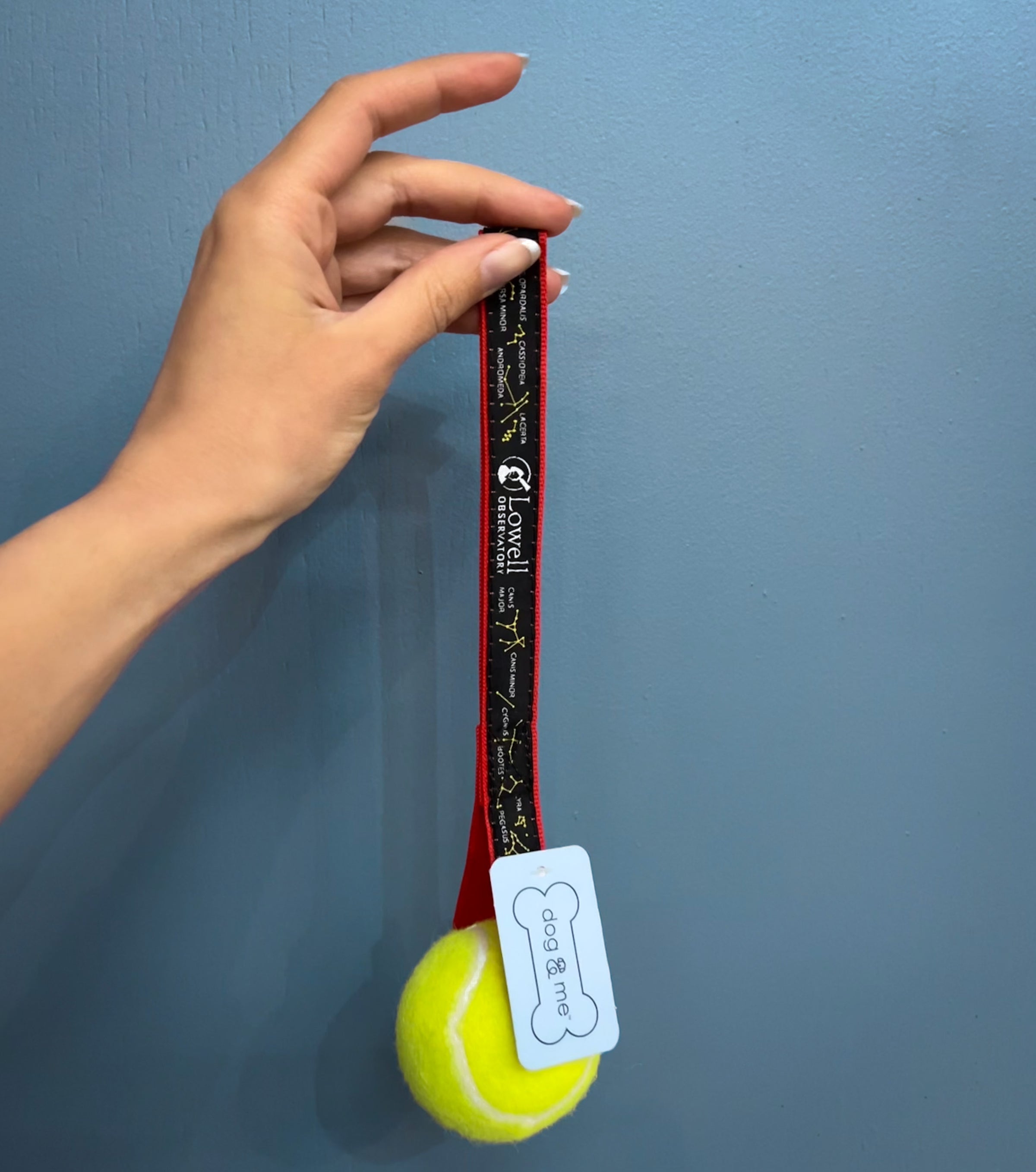 Hand holding tennis ball toy to illustrate scale