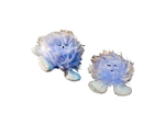 Polaris A and B Plush