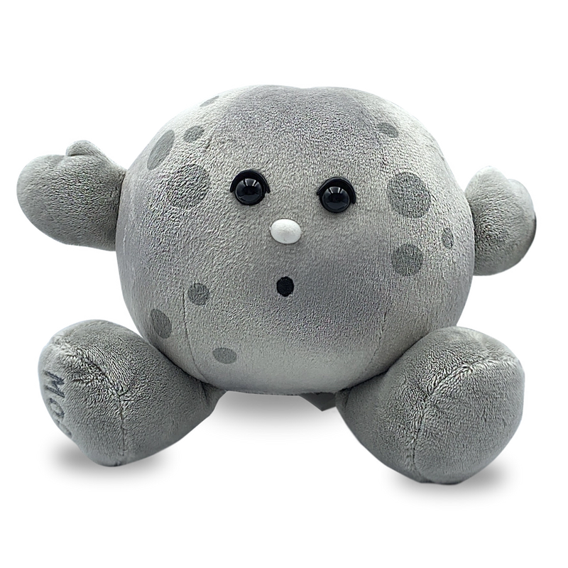 Moon Plush Buddy | Lowell Observatory – StarrySkiesShop