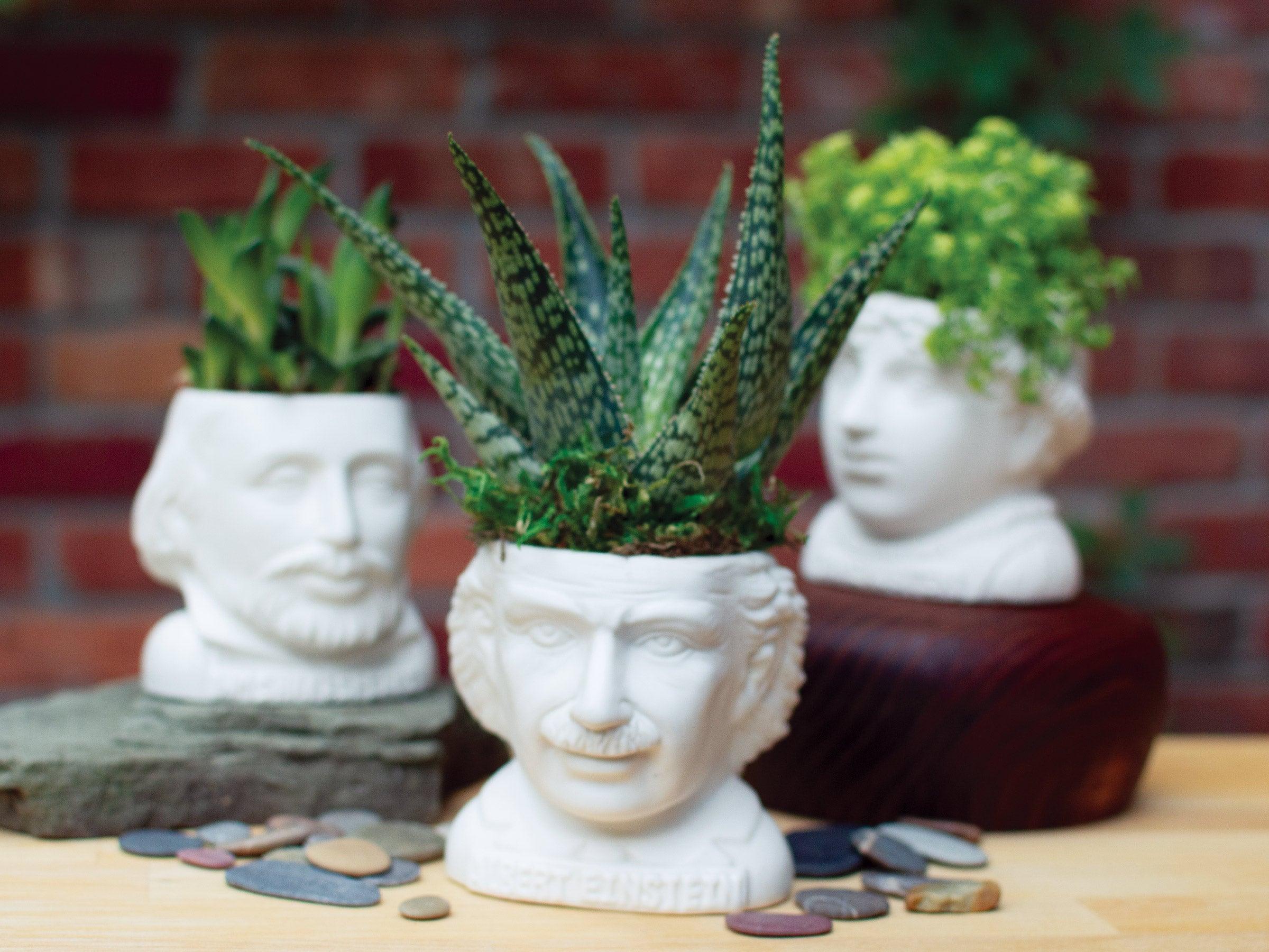 Albert Einstein Planter