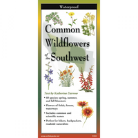 Common Wildflowers of the Southwest Folded Guide