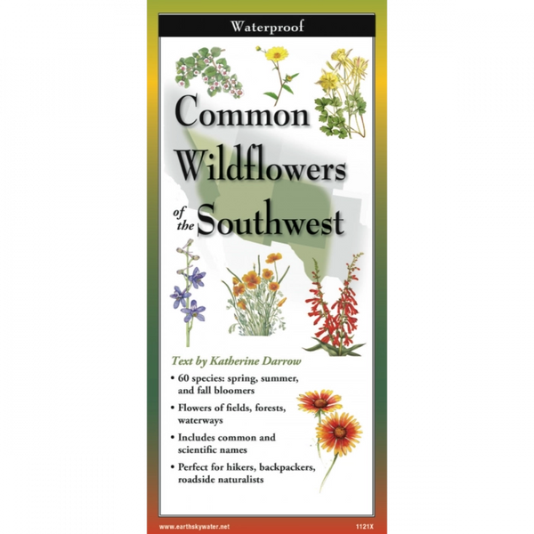 Common Wildflowers of the Southwest Folded Guide