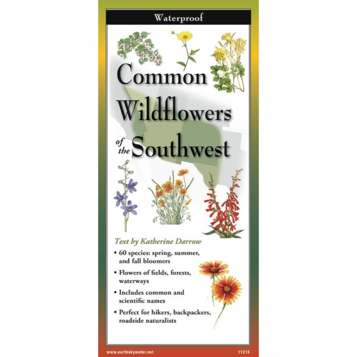 Common Wildflowers of the Southwest Folded Guide