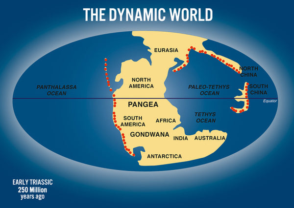 Authentic Cards Dynamic World - Postcard