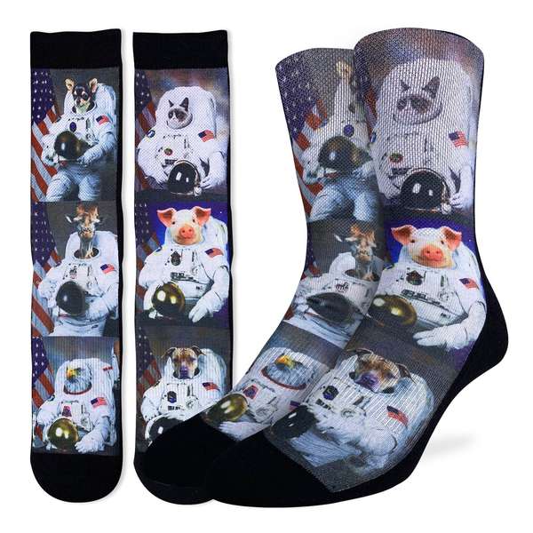 Animals Dressed Up As Astronaut Socks