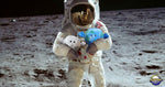 Moon Plush