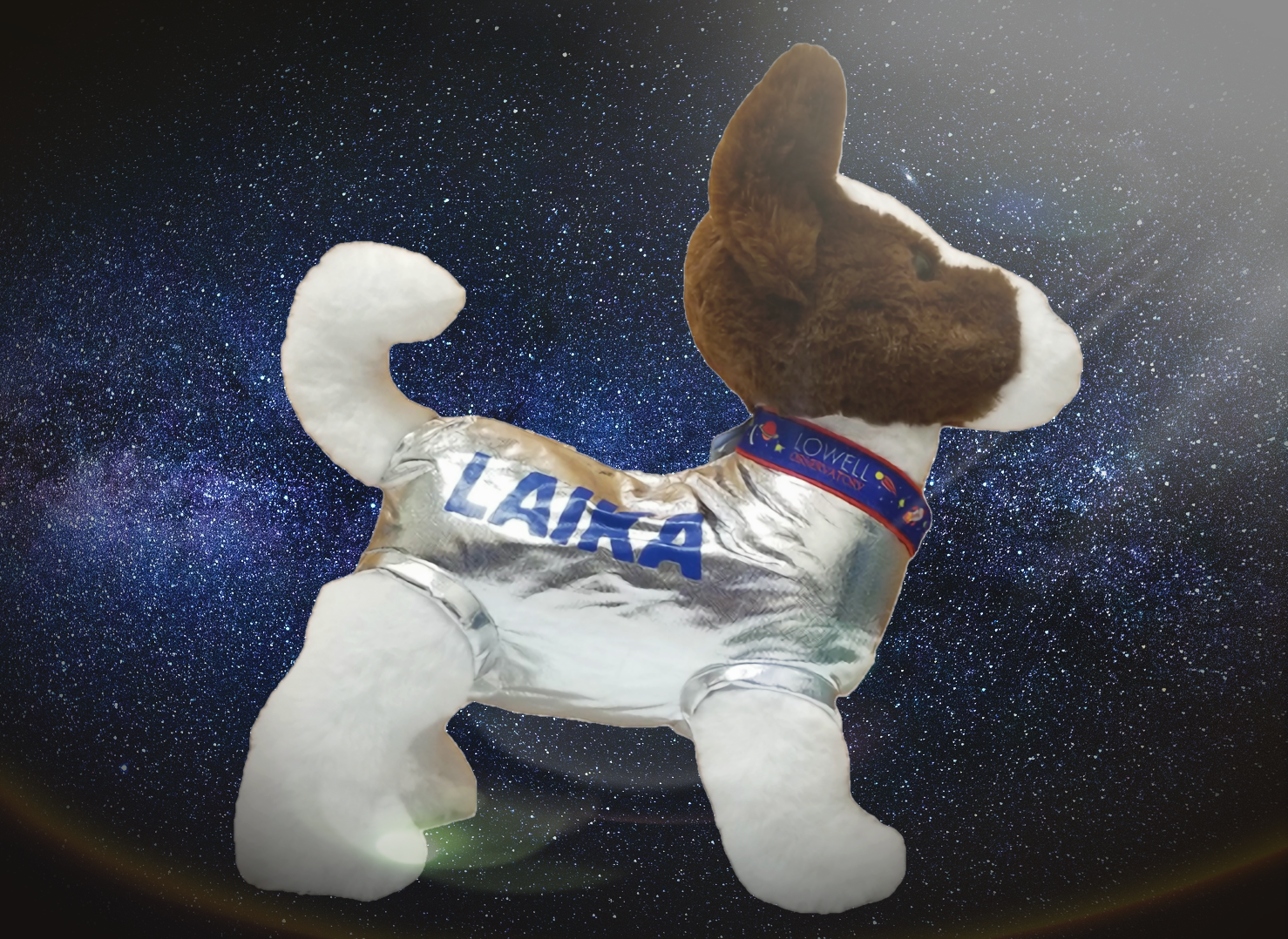 Rockets Dog Collar (Small)