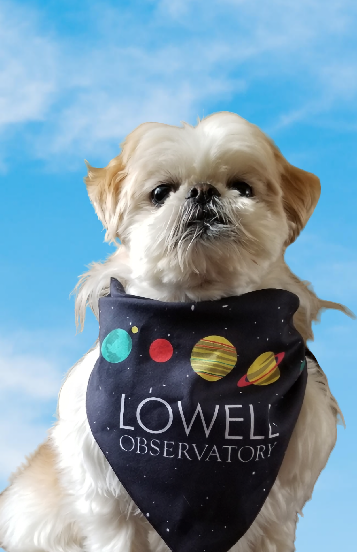 Solar System Dog Bandana