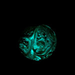 Glow-in-the-Dark Venus Ornament